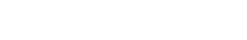 Logo NES